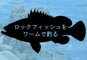 ロックフィッシュワームの選び方、付け方講座！おすすめ仕掛け解説