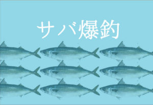 サバの釣り方と仕掛け｜初心者でも爆釣できるコツ公開