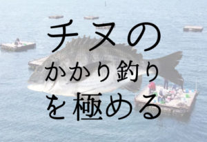 筏釣り チヌのかかり釣り の仕掛けと釣り方