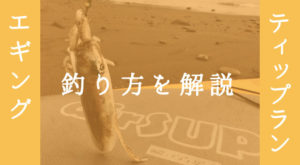 ティップランエギングでアオリイカを釣る!釣れる時期とコツ公開