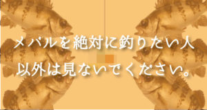メバル釣りの最強仕掛けは?防波堤や磯からも狙える美味しい魚