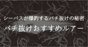 バチ抜け狙いでシーバス爆釣|時期とおすすめルアー