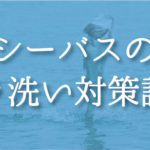 シーバスのエラ洗いでもバラさないやりとり方法