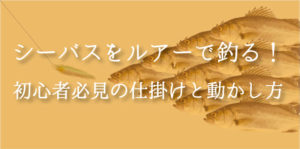 シーバスをルアーで釣る！初心者必見の仕掛けと動かし方