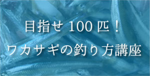 ワカサギ釣りの仕掛けは？餌は？付け方は？オモリは？