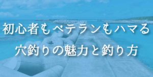 穴釣り仕掛けと釣果に差をつける餌、釣り方を公開
