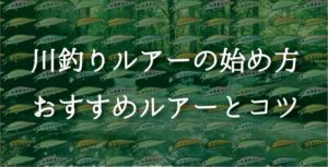 川釣りルアーの始め方！おすすめルアーとコツを公開