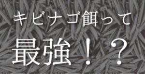 キビナゴ餌の釣りこそ最強!真鯛からハタ、太刀魚まで釣れる仕掛けを公開