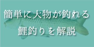 鯉釣りの仕掛けと餌は 気軽に大物が釣れる鯉釣りを徹底解説