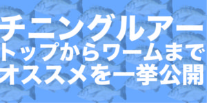 チニングルアーのおすすめは？トップからワームまで種類と選び方