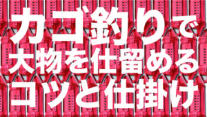 カゴ釣りで沖の大物を釣るための仕掛けとコツ