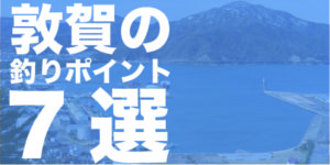 敦賀の釣りポイント7選！車横付けOK？夜釣りOK？