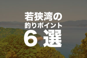 若狭湾の釣りポイント情報|釣れる魚とおすすめポイント6選!