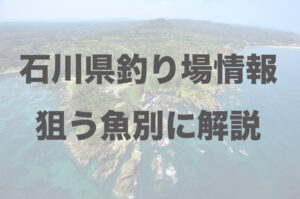 石川県釣り場情報｜アジ、キス、シーバスなど狙う魚別に解説