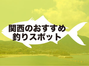 関西のおすすめ釣りスポットを厳選!手ぶら派?穴場派?釣り堀派?