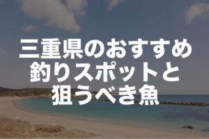 三重県の釣り場ポイントは?ヒラメ、アジ、アオリ、シーバスなど豊富な漁場
