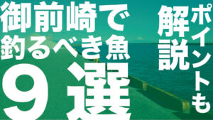 御前崎港周辺で釣るべきおすすめ魚9選!ポイントも紹介!