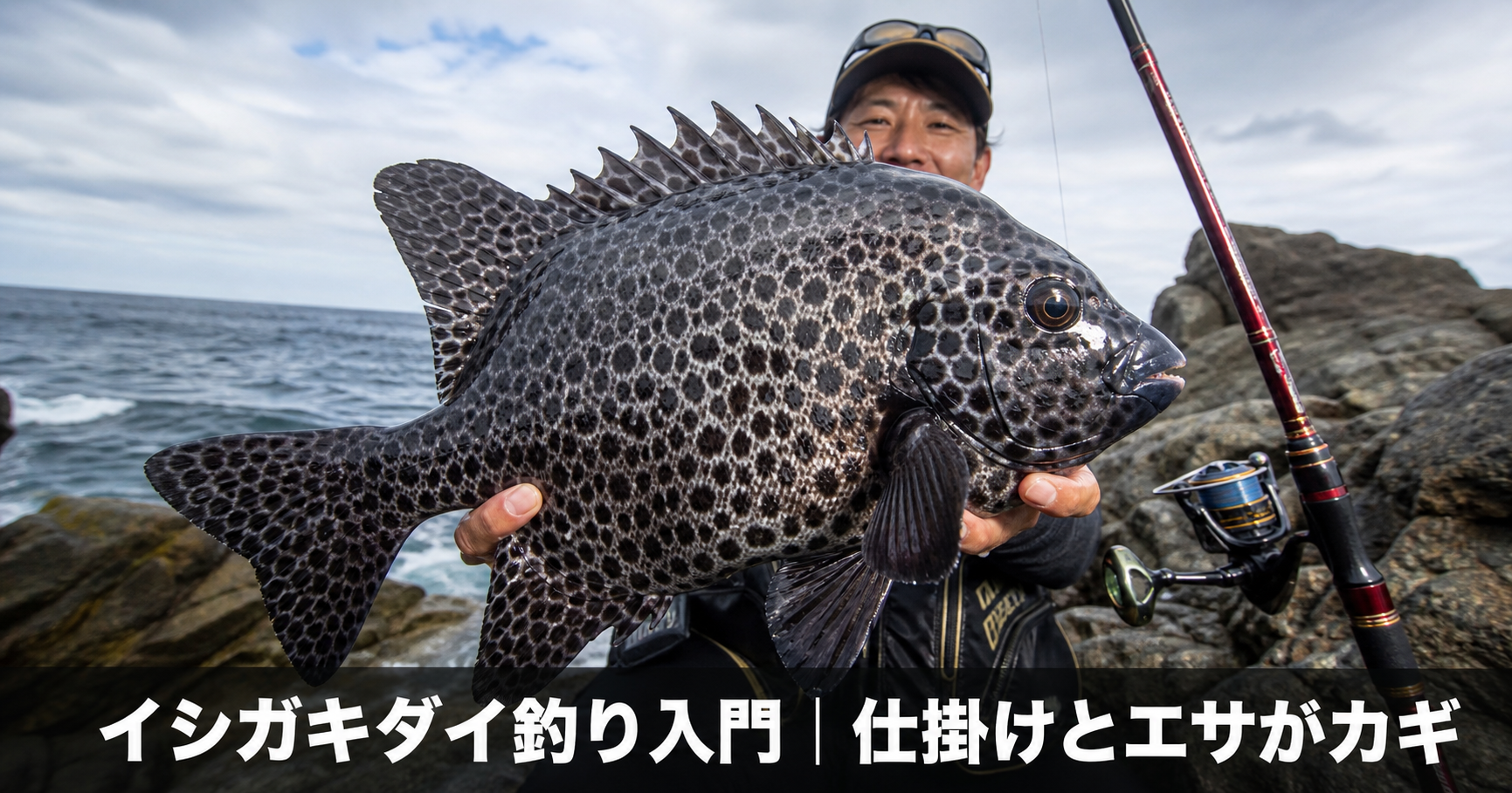 イシガキダイの釣り方｜初めて狙う人に知ってほしいタックル・仕掛け・エサ選び