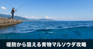 マルソウダの釣り方を解説|堤防から狙える青物の基礎知識