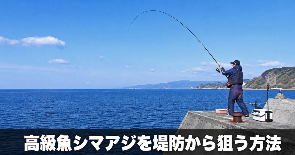 シマアジの釣り方と仕掛け|高級魚を狙える釣法と実践のコツ