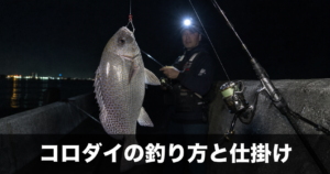 コロダイの釣り方と仕掛け｜夜釣りで狙う強烈ファイターの攻略法