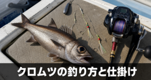クロムツの釣り方と仕掛け|中深場狙いの基本タックルと誘い方のコツ