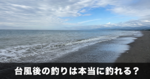台風後の釣りは本当に釣れるのか|タイミングと狙い目の魚種