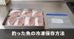 釣った魚の冷凍保存方法とコツ｜新鮮さを保つ正しい手順