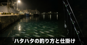 ハタハタの釣り方と仕掛け|産卵期の夜釣りで狙うシーズン攻略法