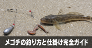 メゴチの釣り方と仕掛け｜キス釣りの外道から専門狙いまで徹底解説