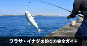 ワラサ・イナダの釣り方と仕掛け|カゴ釣りからショアジギングまで徹底解説