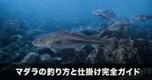 マダラの釣り方と仕掛け|深海の冬を代表する美味なターゲット